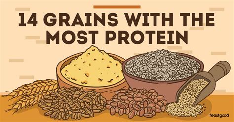 proteins in cereal grains are high quality and complete